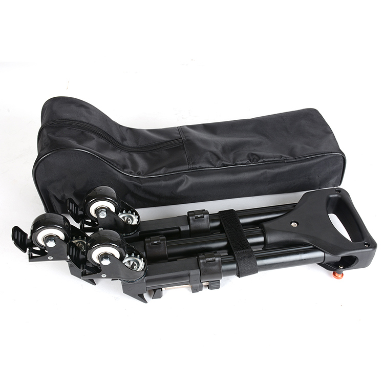 ICON Dolly - Imagen 2